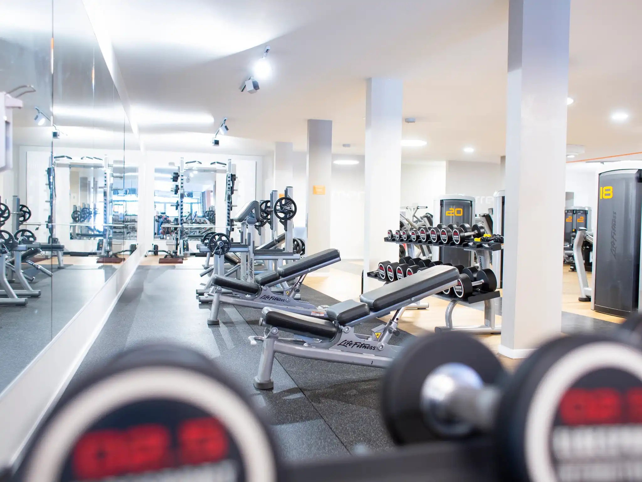 Helles Fitnessstudio mit freien Gewichten